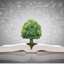 educación ambiental