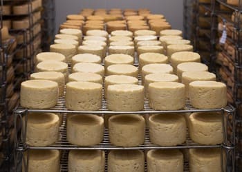 equipo ultrasónico para limpieza alimentaria