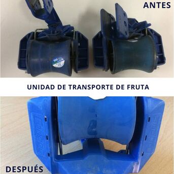 limpieza con ultrasonidos de unidad de transporte de fruta