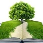 limpieza con ultrasonidos consultoría ambiental